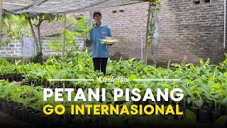 Kisah Sukses Mbah Lasiyo, Petani Pisang Lokal yang Go Internasional