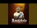 Amalobolo