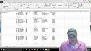 201710 Microsoft Excel In Class Project
