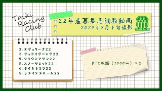 【22年産】調教動画⑯　BTC坂路コース　2024年2月下旬撮影