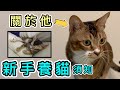 【扭扭故事】我是如何領養貓❓成長+發情絕密片曝光🙈新手養貓必看❗️亂屎尿好困擾😭如何解決❓🙈養貓新手｜貓發情｜養貓準備｜養貓要知道｜唐貓｜養貓注意事項｜養貓分享