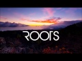 Imagine Dragons - Roots (Lyrics)