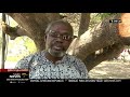 Robert Mugabe | Zvimba villagers preparing to receive Mugabe's body