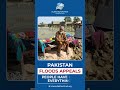 Pakistan Floods Appeals - People have lost everything – Islamic Welfare Trust