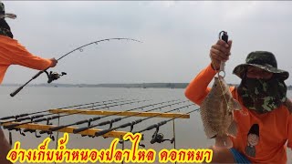 Ep.1 อ่างเก็บน้ำหนองปลาไหล/คอกหมา/11:00-15:00 #fishing