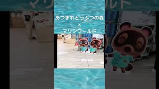 🐬この夏一押し🐬【あつまれどうぶつの森】新イベント始まったよ！＜あつ森×マリンワールド（水族館）＞コラボに早速行ってきた🐬テンション↑↑↑【あつまれどうぶつの森】#shorts