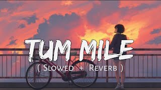 Tum Mile Dil Khile Lofi {Slowed + Reverb} | #tummile #lofi
