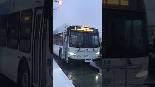 #youtubeshorts YRT 2227 on route 1- Highway 7 East to Richmond Hill Centre Bus Terminal