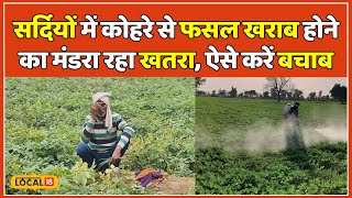 Farming Tips in Winters: शीतलहर और पाले से मंडरा रहा फसलों पर खतरा, अपनाएं ये आसान तरीका | #local18