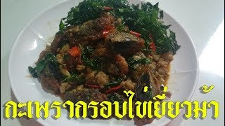 กะเพรากรอบไข่เยี่ยวม้า เมนูติดดาวทำง่าย ได้รสชาตินุ่มนวลชวนอร่อย