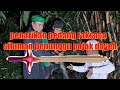 PENARIKAN PEDANG RAKSASA PENUNGGU POJOK DAYEH..!