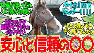 メロディーレーン姉さんのお相手…に対するみんなの反応！【競馬 の反応集】