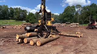 Lot #2402 • Tanguay Self-propelled Log Loader for sale