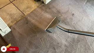 Extremely Dirty Carpet, Upholstery and Tiles Cleaning!!! Took 2 Hours 1 Room!