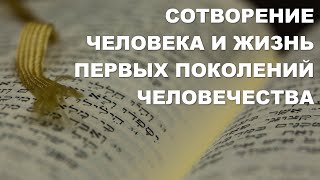 Книга Бытие. Сотворение человека и жизнь первых поколений. Библия. Толкование Библии. Ветхий Завет.