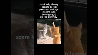 mój pomysł #warriorcats #cat #warriors #miłego #dnia #wojownicy :)