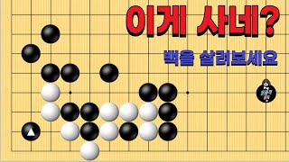 바둑 묘수 사활  - 세상에 이런 수가 있나요? 백을 살려보세요