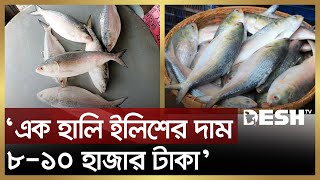 ‘এক হালি ইলিশের দাম ১০ হাজার টাকা’ | Hilsa Fish Price | News | Desh TV