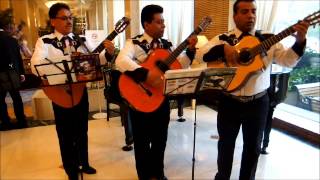 Trio Musical en CDMX y Edo de Mex- Los Selectos ( Adoro )