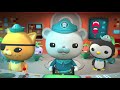 octonauts the baby sea turtles cartoons for kids underwater sea education