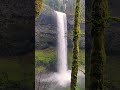 nature 🍄beautyful waterfall video shorts summer time 🔥 💦