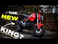 New Honda Grom 125 Review | Better than the Monkey, Dax & Super Cub Motorcycles?