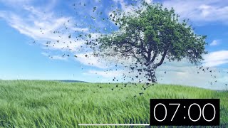 7 Minute Timer - Beautiful Relaxing Music