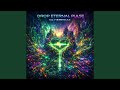 Interwoven Eternal Grid