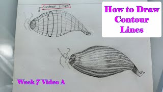 How to Draw Contour Lines | Week 7 Video A