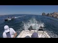 Sea Lions Catch a Ride Fishing Boat || ViralHog