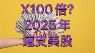 100倍X｜美股｜2025年AI股票