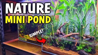 EASY Mini Pond / Nature Aquarium "Set It And Forget It" Style - Simple Tutorial
