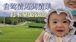 泰国清迈自驾到清莱，路途一座上千亩漂亮的公园-辛哈公园农场