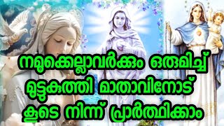 നമ്മുക്ക് എല്ലാവർക്കും ഒരുമിച്ച് മാതാവിന്റെ കൂടെ ഇരുന്ന് പ്രാർത്ഥിക്കാം