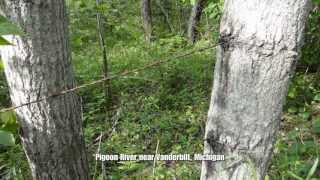 Freakin' Fabulous Michigan Trout Fishing