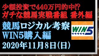 【競馬ロジカル考察 番外編】ｰWIN5購入編ｰ 2020年11月8日（日）ガチな競馬実戦番組。少額投資をモットーにWIN5を購入（血統・能力指数・考察・予想）