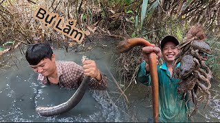 Khu vườn hoang toàn hàng Khủng ẩn nấp | Gấc Quê