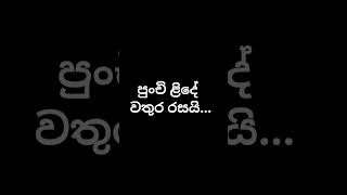 මේ තේරවිල්ල මොකක් ද ?