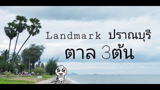 ตาล 3ต้น ถนนเลียบชายหาดปราณบุรี LandMark ปากน้ำปราณบุรี / เที่ยวหน้าฝน สค.65