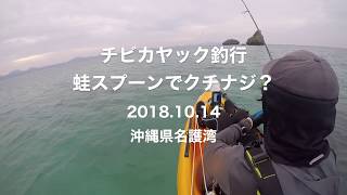 蛙スプーンでクチナジ？ 沖縄県名護湾 2018.10.14 チビカヤック【ルアーフィッシング】