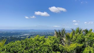 Yamaha Tricity 300 from Glen Eden to Te Henga beach, Auckland, New Zealand 4K