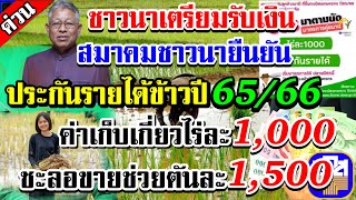 ข่าวดี!นายกสมาคมชาวนายืนยัน4พ.ย65ลุ้น ครม.อนุมัติจ่ายเงินชาวนาไร่ละ1,000บาทชะลอขายตันละ1,500[2พ.ย65]