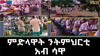 ምድላዋት ንትምህርቲ አብ ሳዋ - natran temharo sawa - ERi-TV