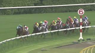 カワカミプリンセス 2009年 第4回ヴィクトリアマイル(GI) (優勝馬：ウオッカ)