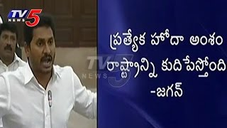 2nd Day Of AP Assembly Sessions | YCP Demands Discussion On Special Status : TV5 News