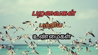 பறவைகள் பற்றிய சில தகவல்கள்/Birds/குறுந்தட்டு தமிழ்.