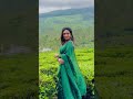 munnar diaries 💚 munnar kerala travel nature malayalam trending explore