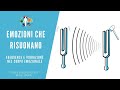 EMOZIONI CHE RISUONANO - Frequenza e Vibrazione nel corpo emozionale