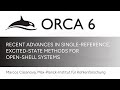 ORCA 6.0 Release Event: Marcos Casanova - Coupled Cluster Excited State Features