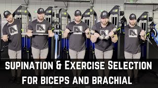Supination Considerations Exercise Selection for Biceps & Brachialis -  more gains less elbow pain